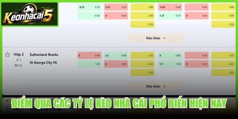 Điểm qua các tỷ lệ kèo nhà cái phổ biến hiện nay