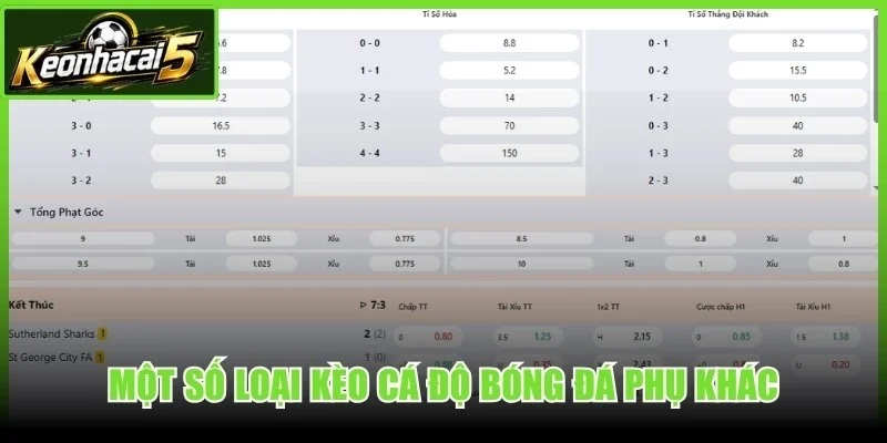 Một số loại kèo cá độ bóng đá phụ khác