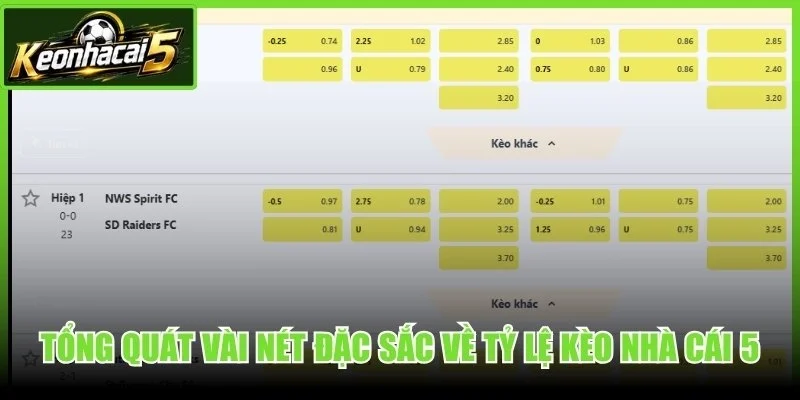 Tổng quát vài nét đặc sắc về tỷ lệ kèo nhà cái 5